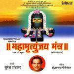 Mahamrityunjay Mantra - Anand Shinde Song Download